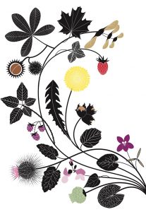 Plantes Vagabondes