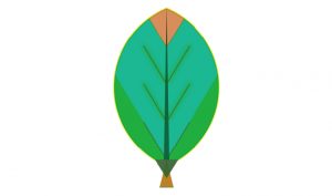 Feuille