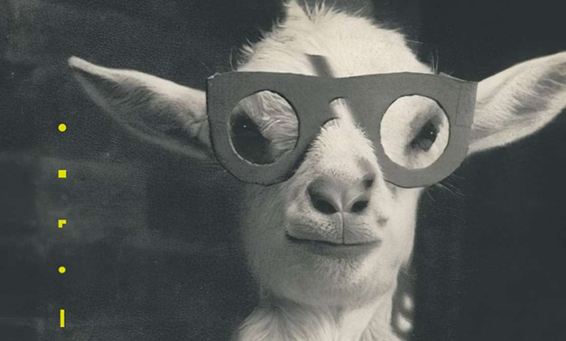 Clic. Photographier pour raconter.